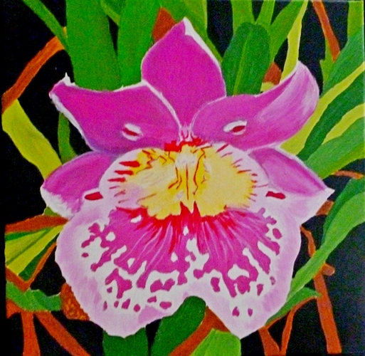 Miltoniopsis, acrylic, 12"x12" $450